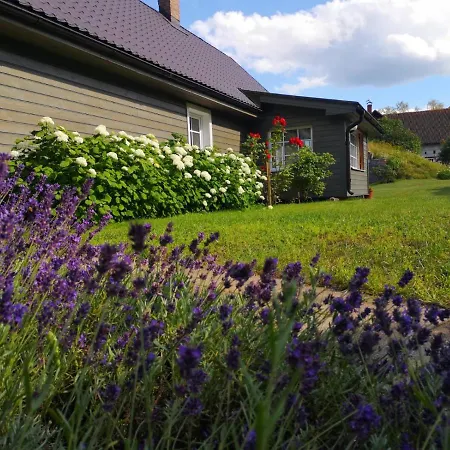 Namins Pie Juras Villa Lapmezciems Exterior photo